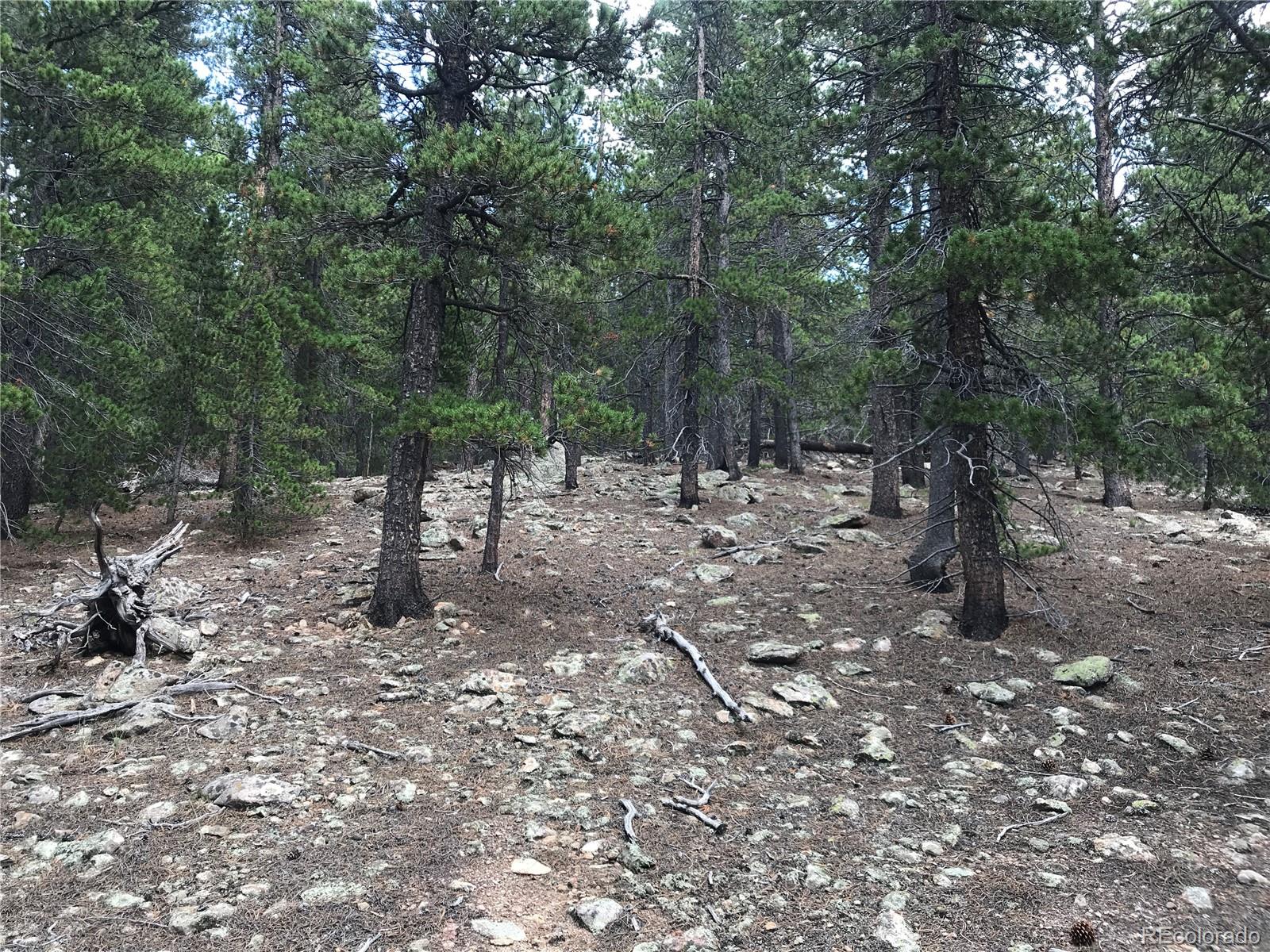 0 Badger Road Black Hawk, CO 80422 - Photo 16 of 25 Gallery Image 16