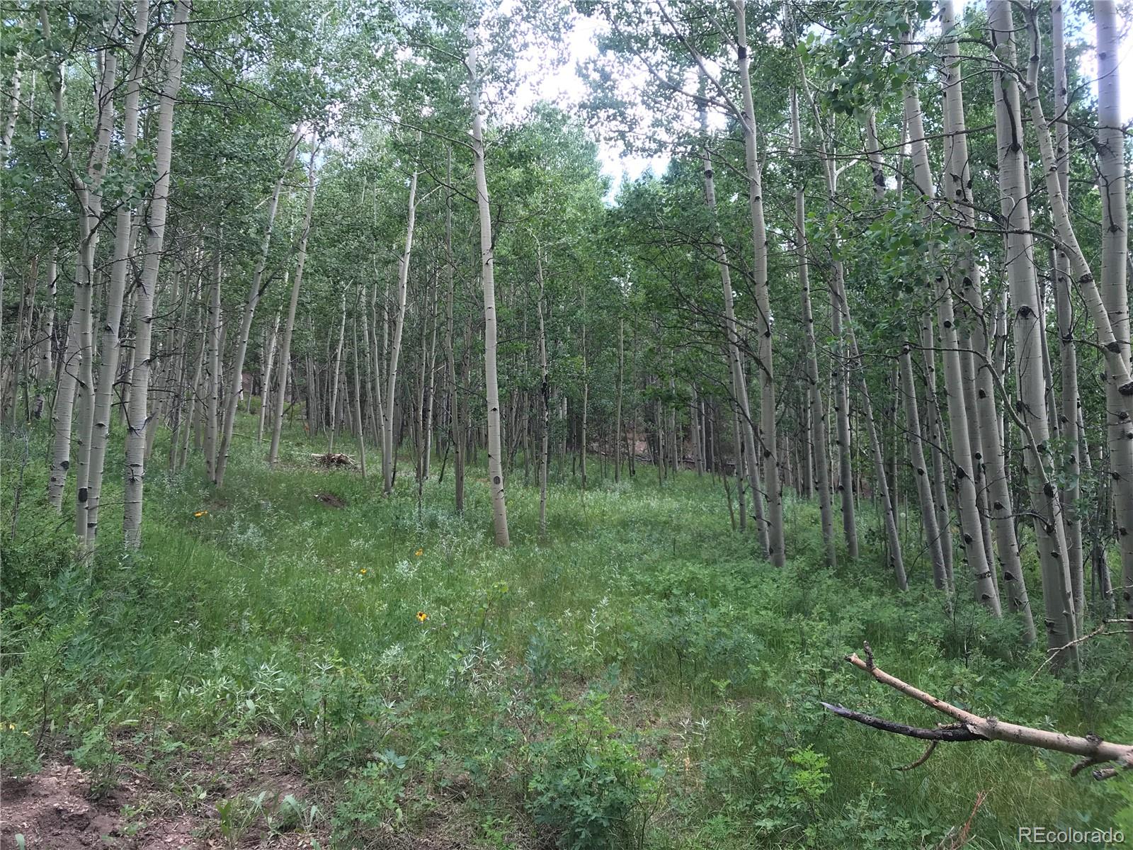 0 Badger Road Black Hawk, CO 80422 - Photo 4 of 25 Gallery Image 4