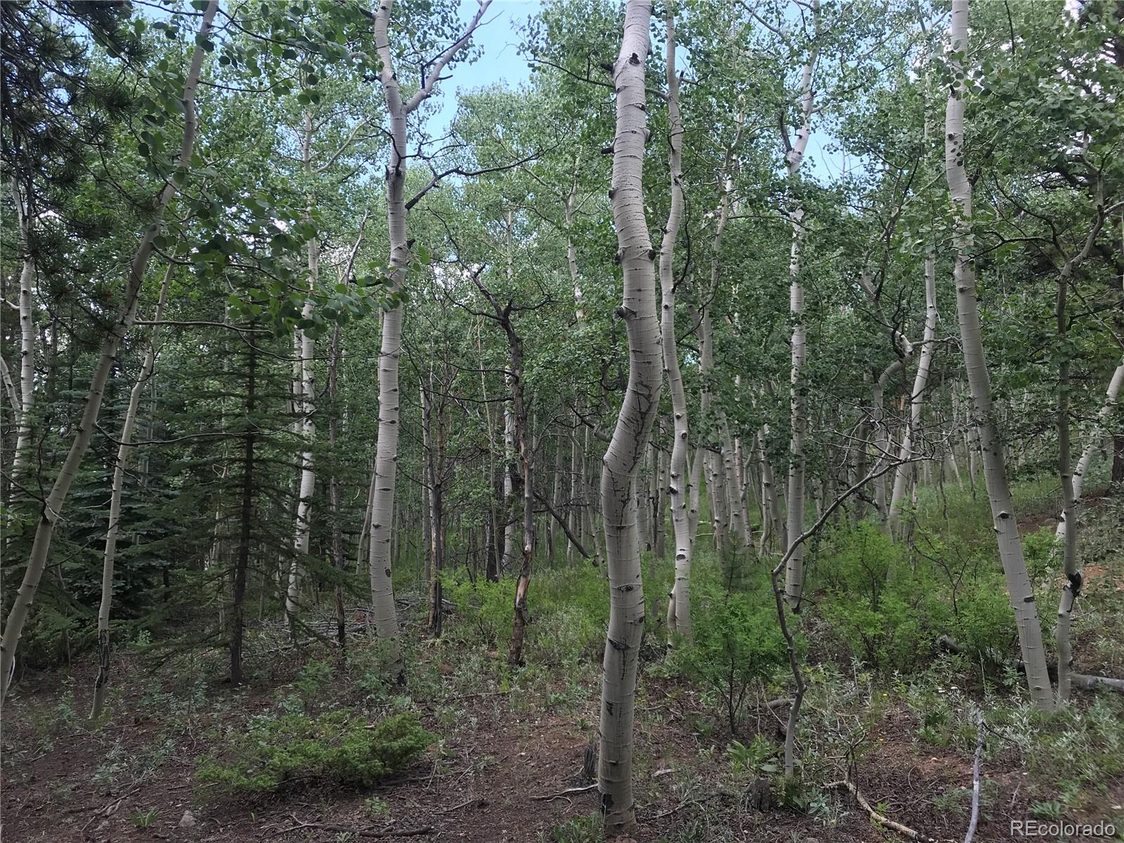 0 Badger Road Black Hawk, CO 80422 - Photo 5 of 25 Gallery Image 5