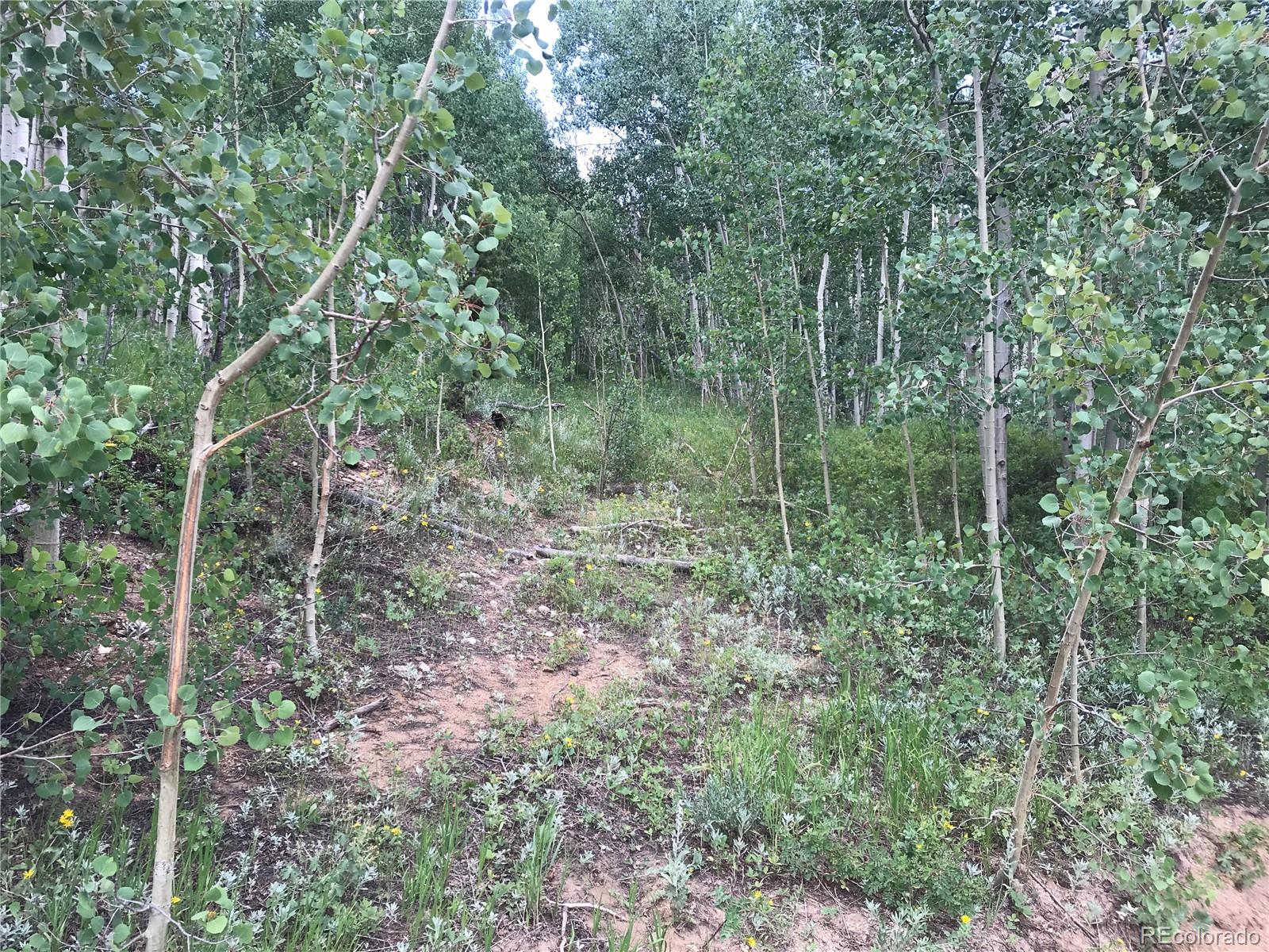 0 Badger Road Black Hawk, CO 80422 - Photo 8 of 25 Gallery Image 8