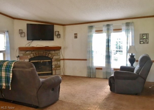 8460 Slagle Road Windham, OH 44288 - Photo 11 of 24 Gallery Image 11