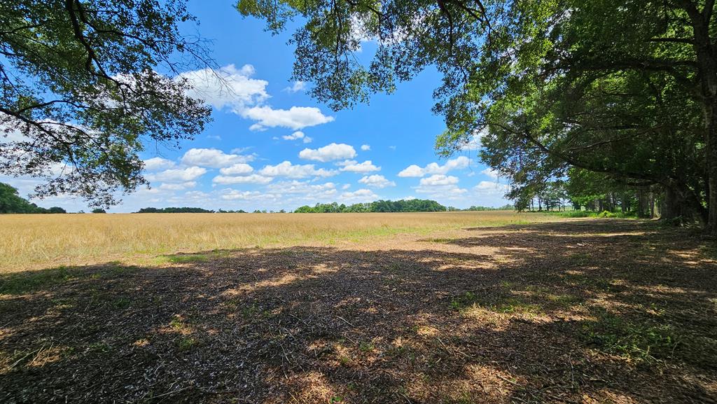 92 County Road 92 Slocomb, AL 36375 - Photo 46 of 58