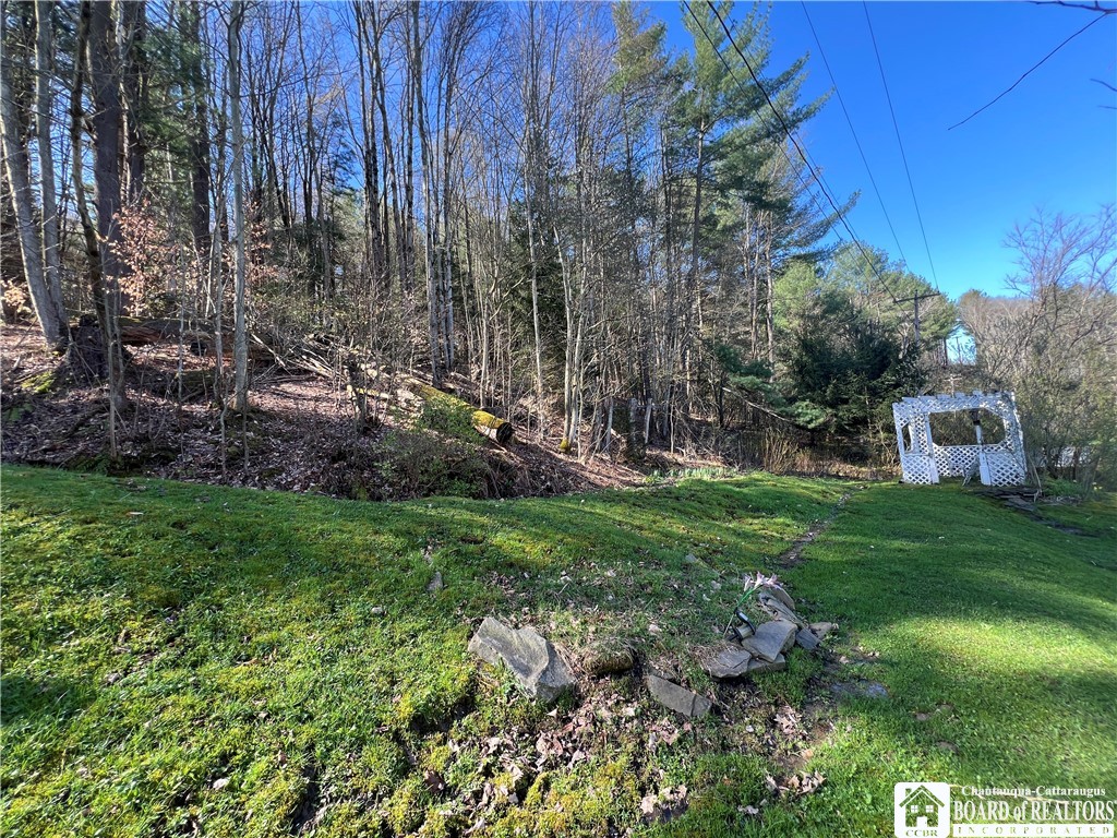 9221 Beebe Hill Road Cuba, NY 14727 - Photo 24 of 34