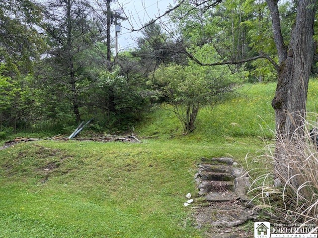 9221 Beebe Hill Road Cuba, NY 14727 - Photo 33 of 34