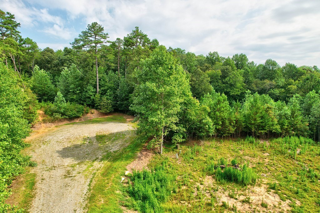73 River Ridge Blue Ridge, GA 30513 - Photo 2 of 19