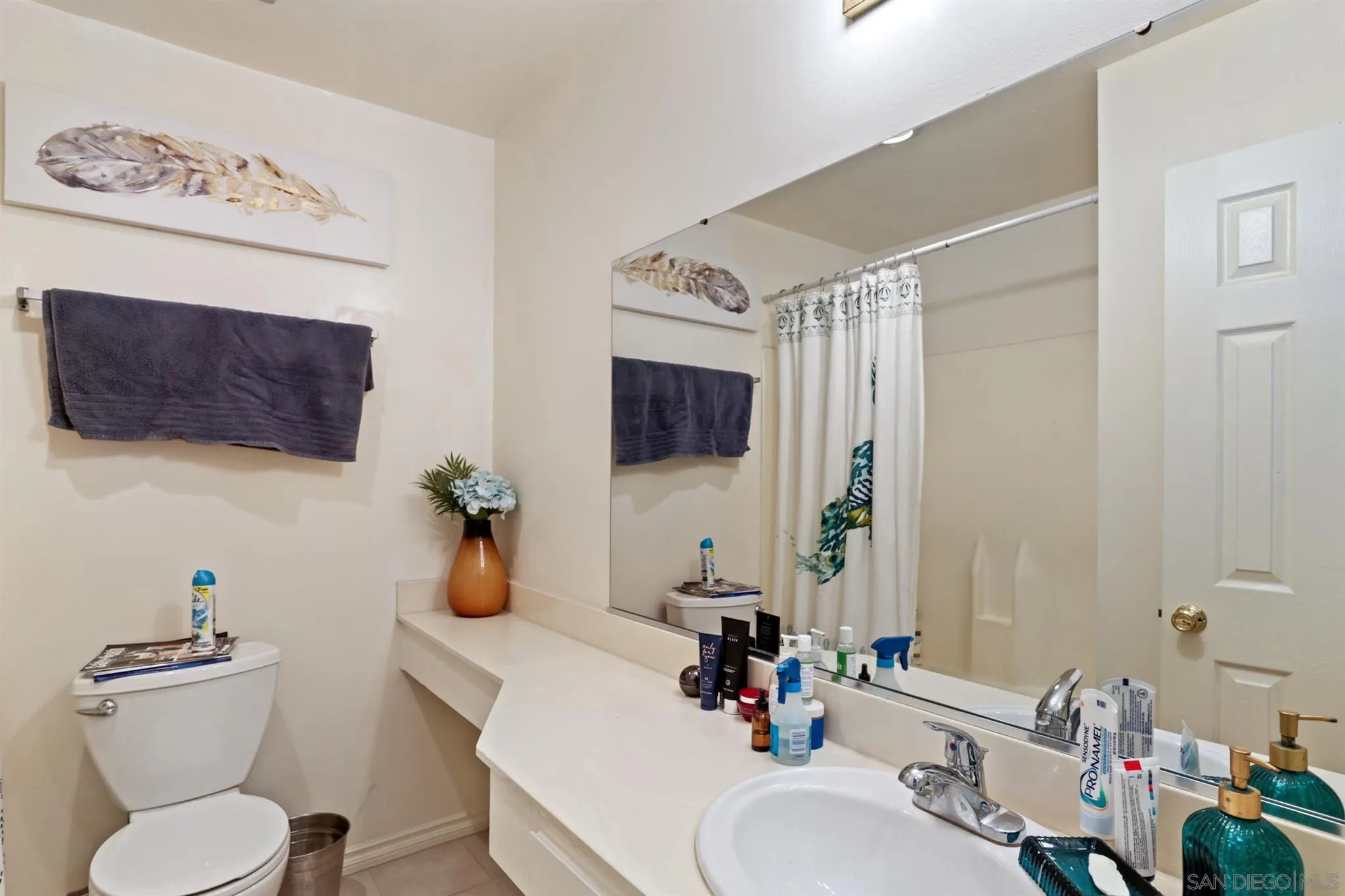 1633 Thomas Avenue San Diego, CA 92109 - Photo 22 of 48 a bathroom with a sink mirror and toilet
