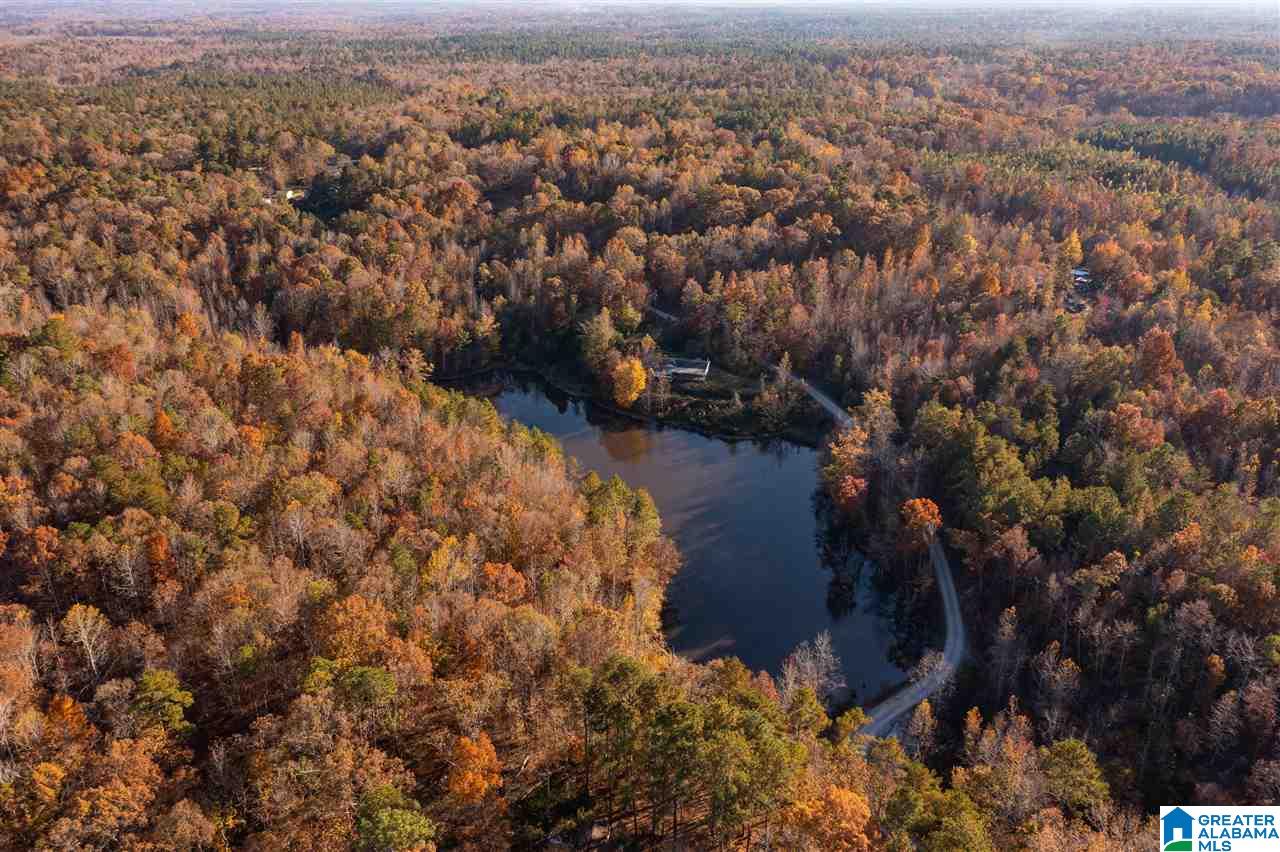300 Henderson Lake Road Sylacauga, AL 35151 - Photo 9 of 20