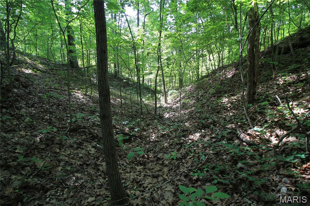 0 Gibson Road Lonedell, MO 63060 - Photo 15 of 28