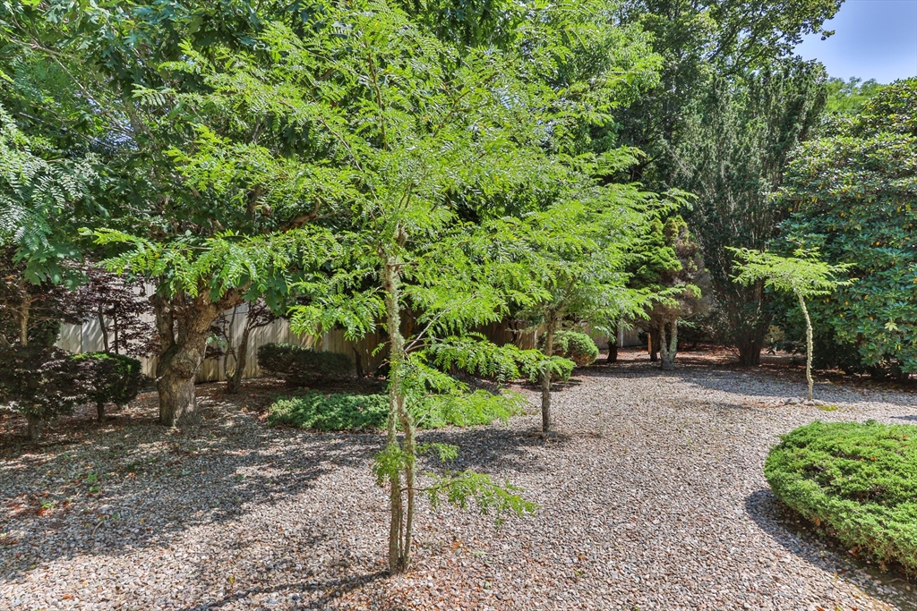 21 Mill Road Falmouth, MA 02540 - Photo 28 of 35 Gallery Image 28