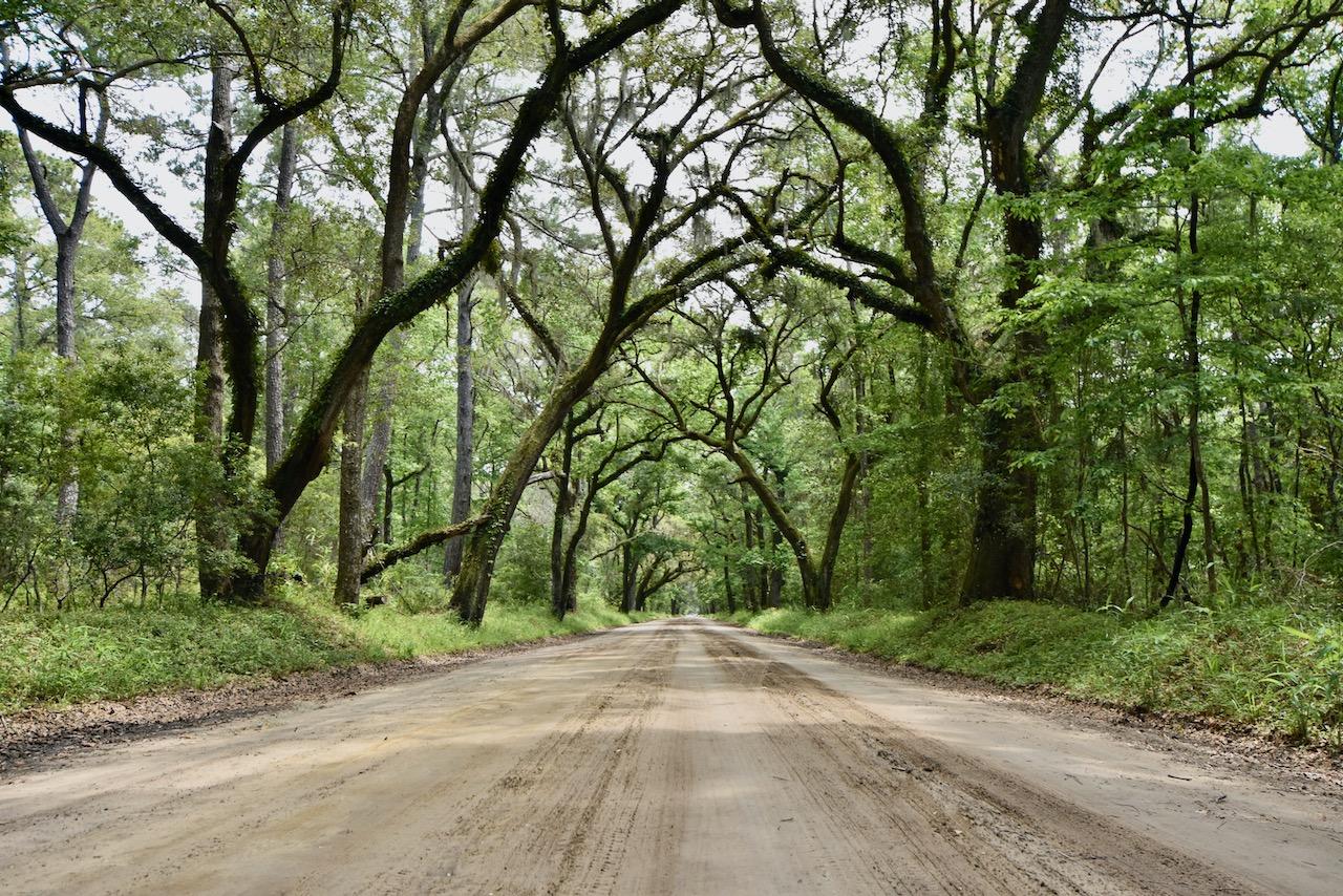7760 Botany Bay Road Edisto Island, SC 29438 - Photo 1 of 31 1 (1)