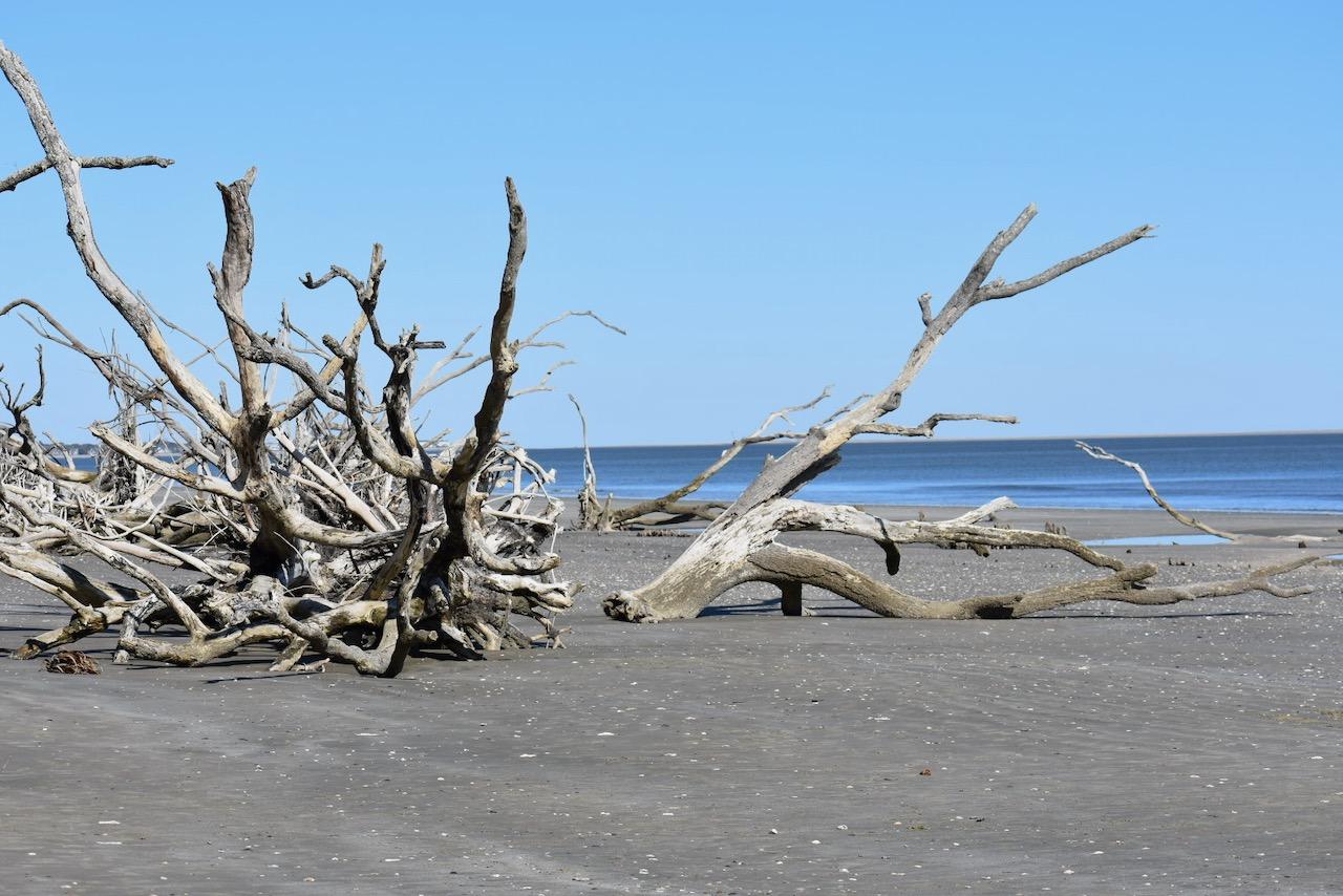 7760 Botany Bay Road Edisto Island, SC 29438 - Photo 2 of 31 1 (2)