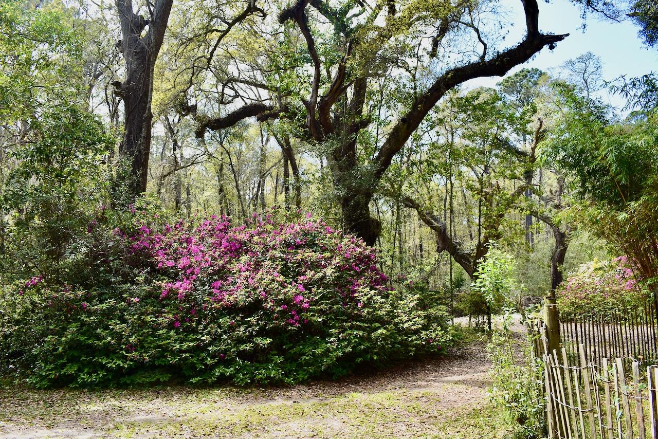 7760 Botany Bay Road Edisto Island, SC 29438 - Photo 28 of 31 15 (1)
