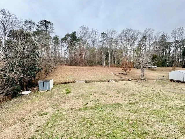 a view of a yard with trees