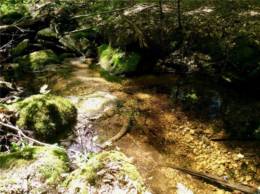 nice mountain stream on property
