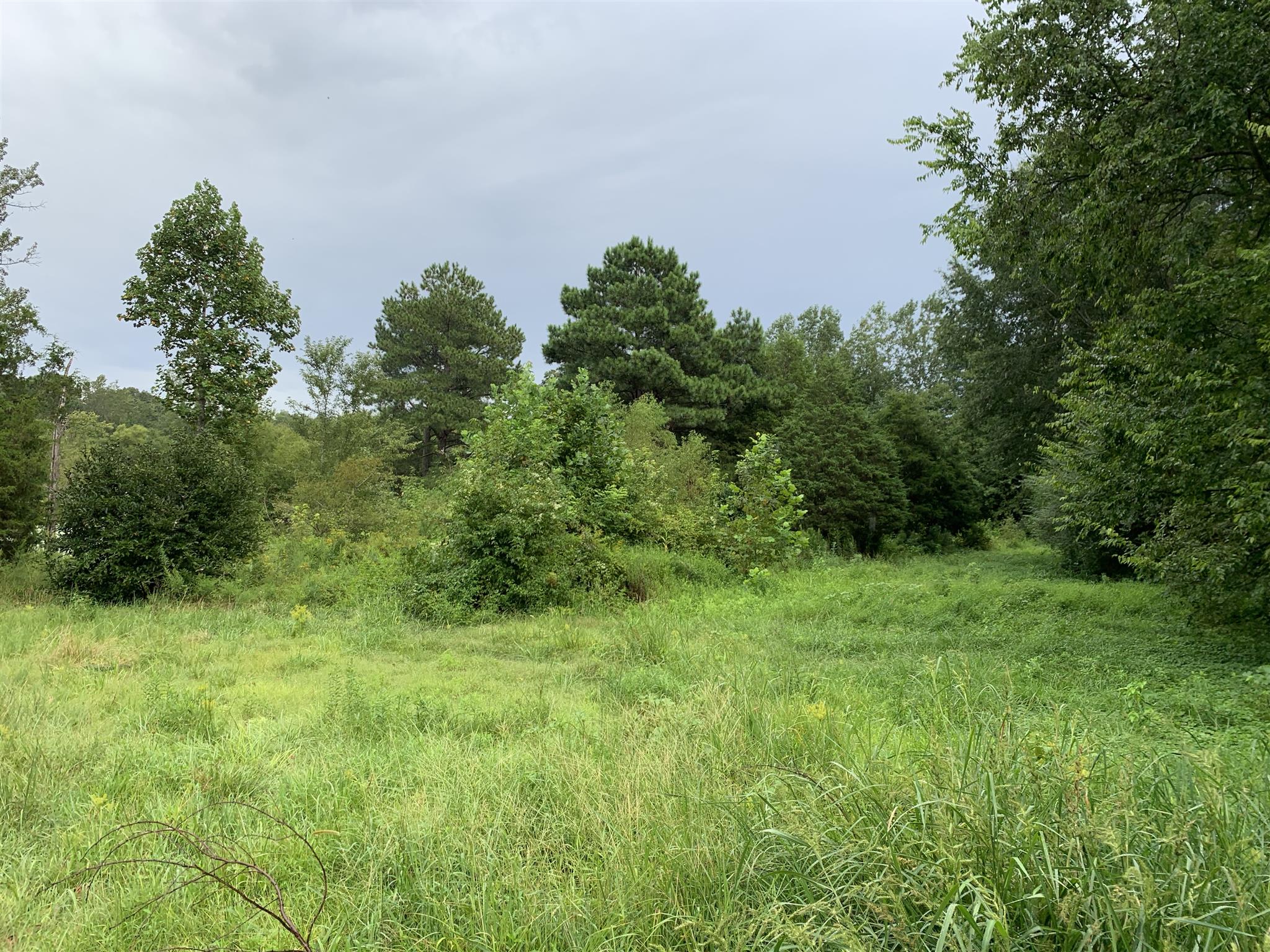 3142 Clifford Hicks Road Camden, TN 38320 - Photo 7 of 12 Nice lot