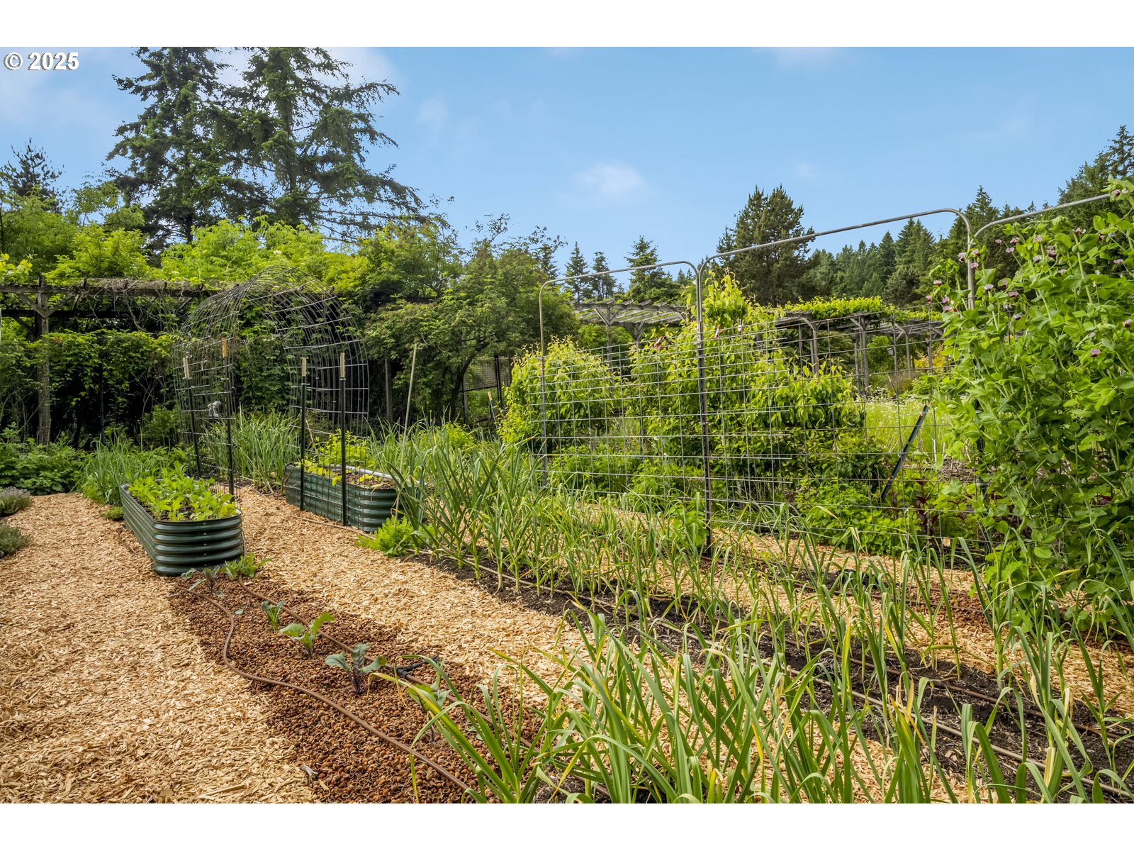 10623 Northeast Fox Farm Road Dundee, OR 97115 - Photo 24 of 47