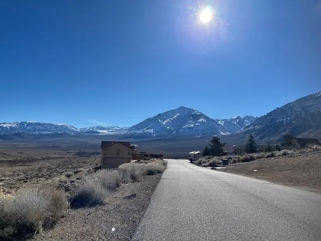 a view of a backyard with green space