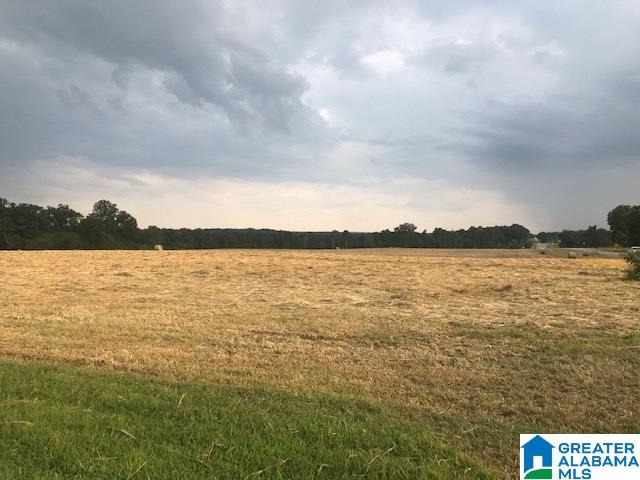 75 Highway Altoona Al Altoona, AL 35952 - Photo 1 of 1