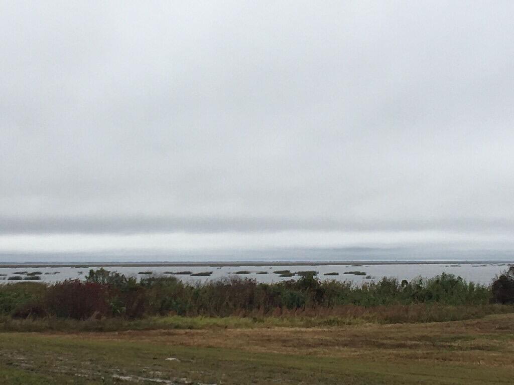 1163 20th Street Okeechobee, FL 34974 - Photo 20 of 20 IMG_2830