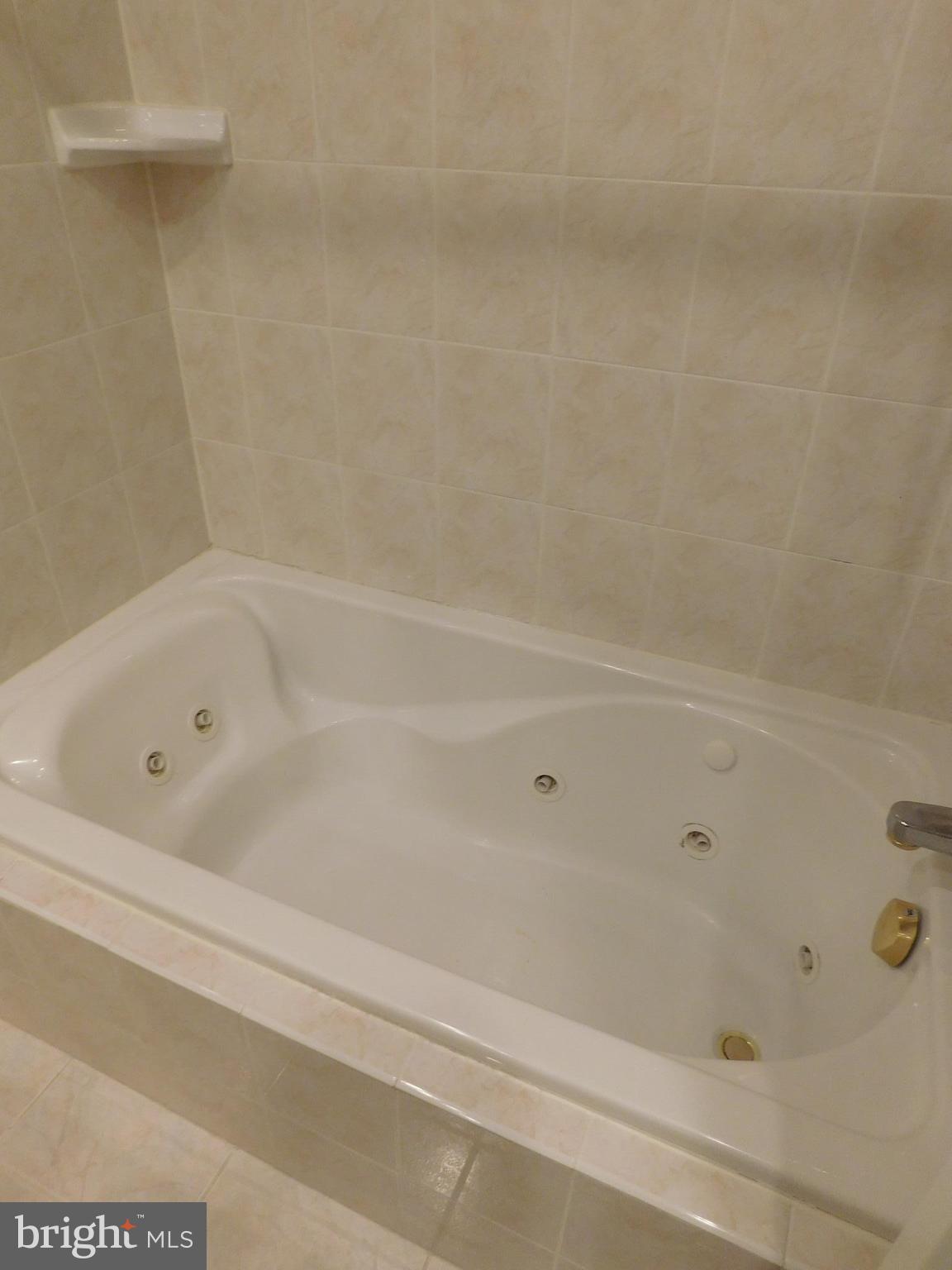 2404 Old Trace Lane Reston, VA 20191 - Photo 19 of 30 Jetted Tub in Hall Bath