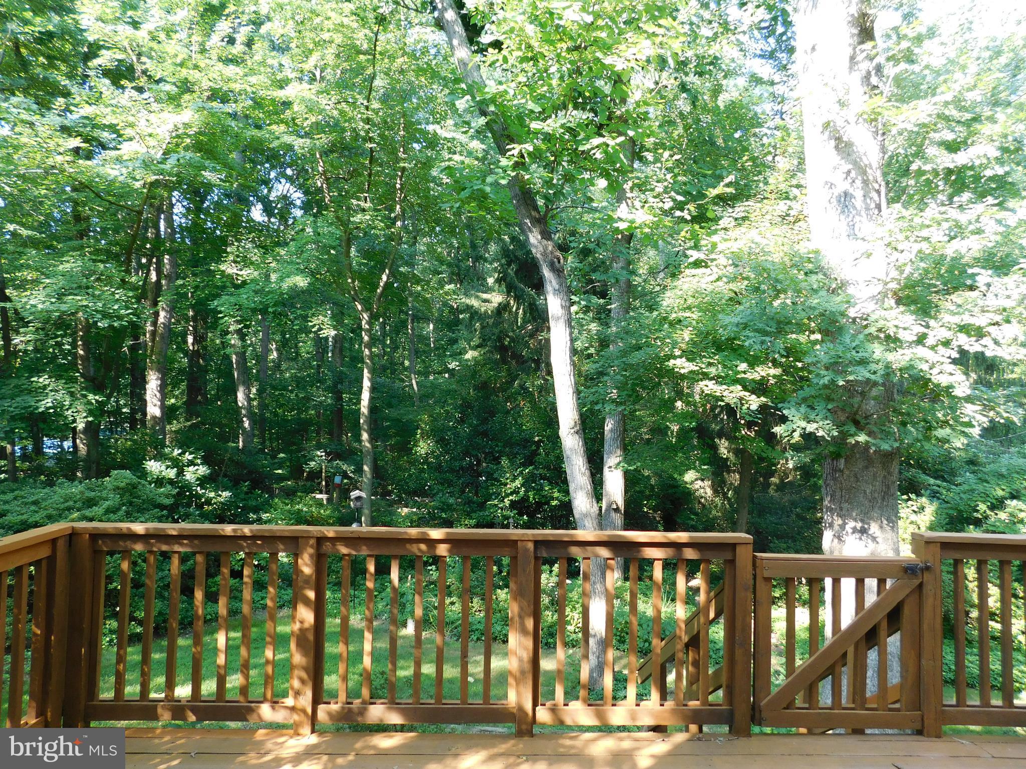 2404 Old Trace Lane Reston, VA 20191 - Photo 26 of 30 Private Yard/Beautiful Garden