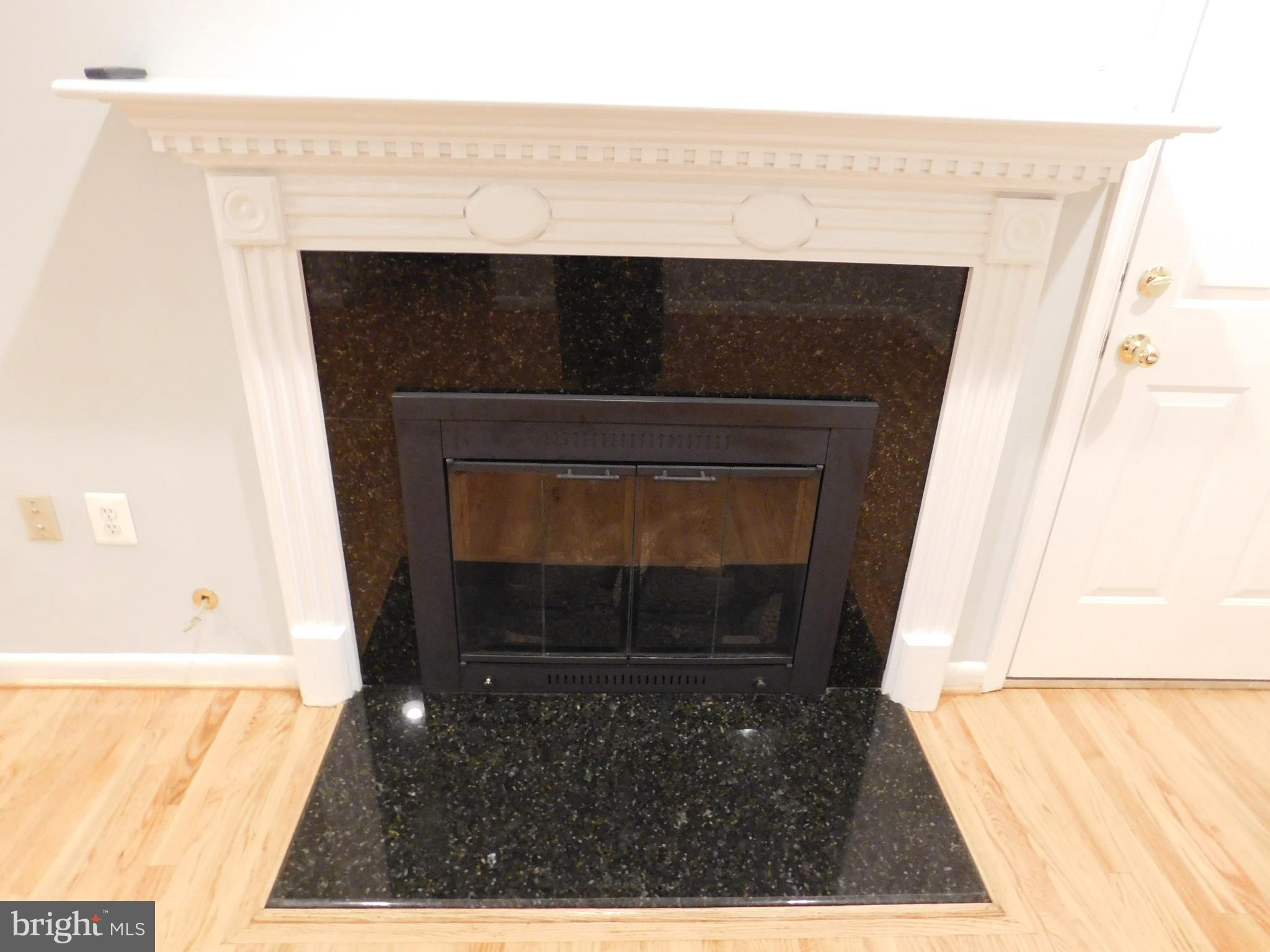 2404 Old Trace Lane Reston, VA 20191 - Photo 8 of 30 Gas Fireplace