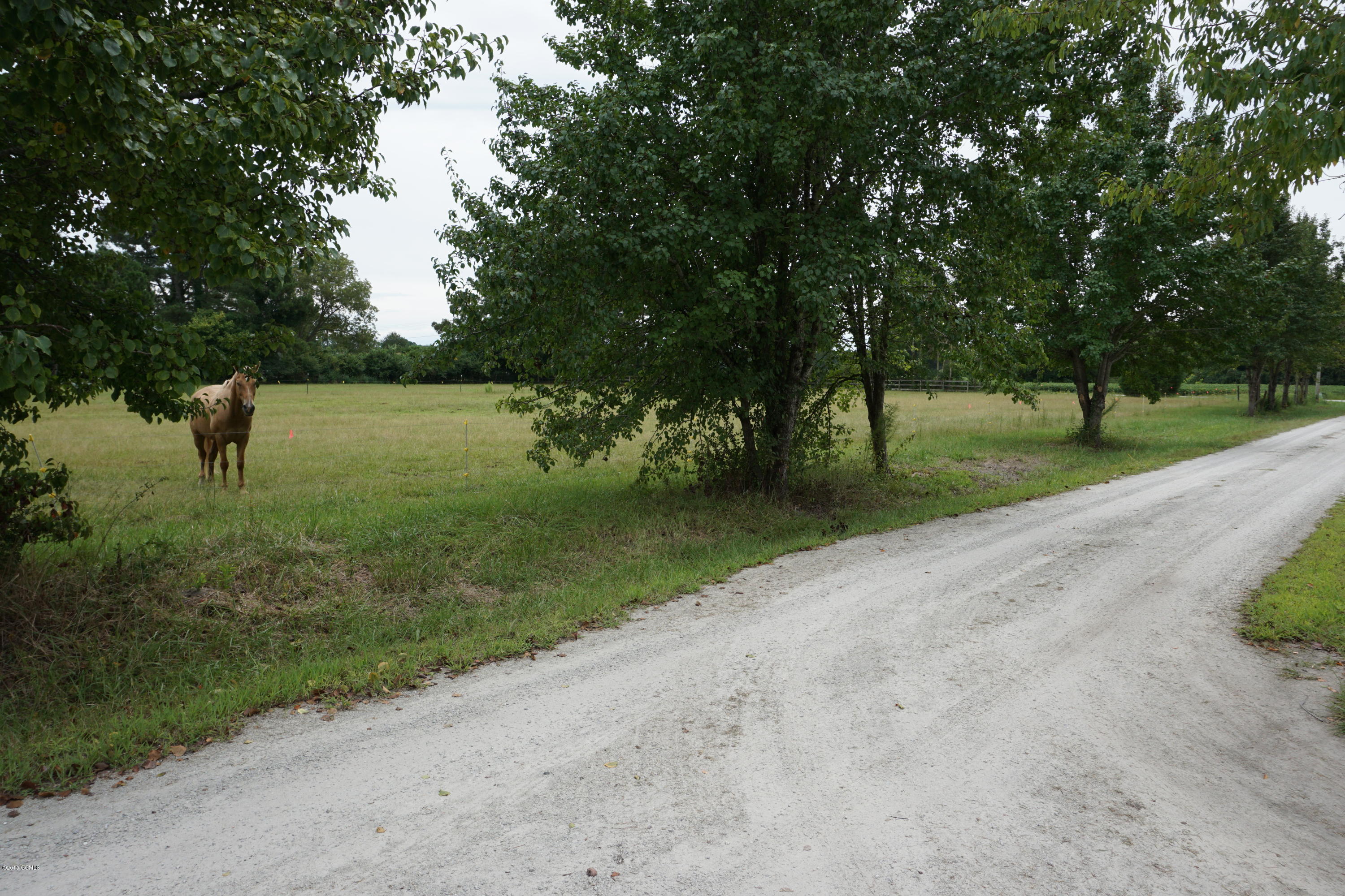 338 Lake Road Newport, NC 28570 - Photo 29 of 35 Driveway view