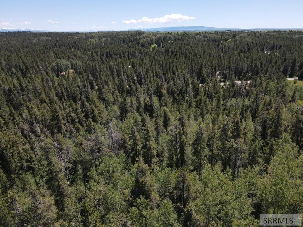 4585 East 1400 Road North Ashton, ID 83420 - Photo 7 of 31