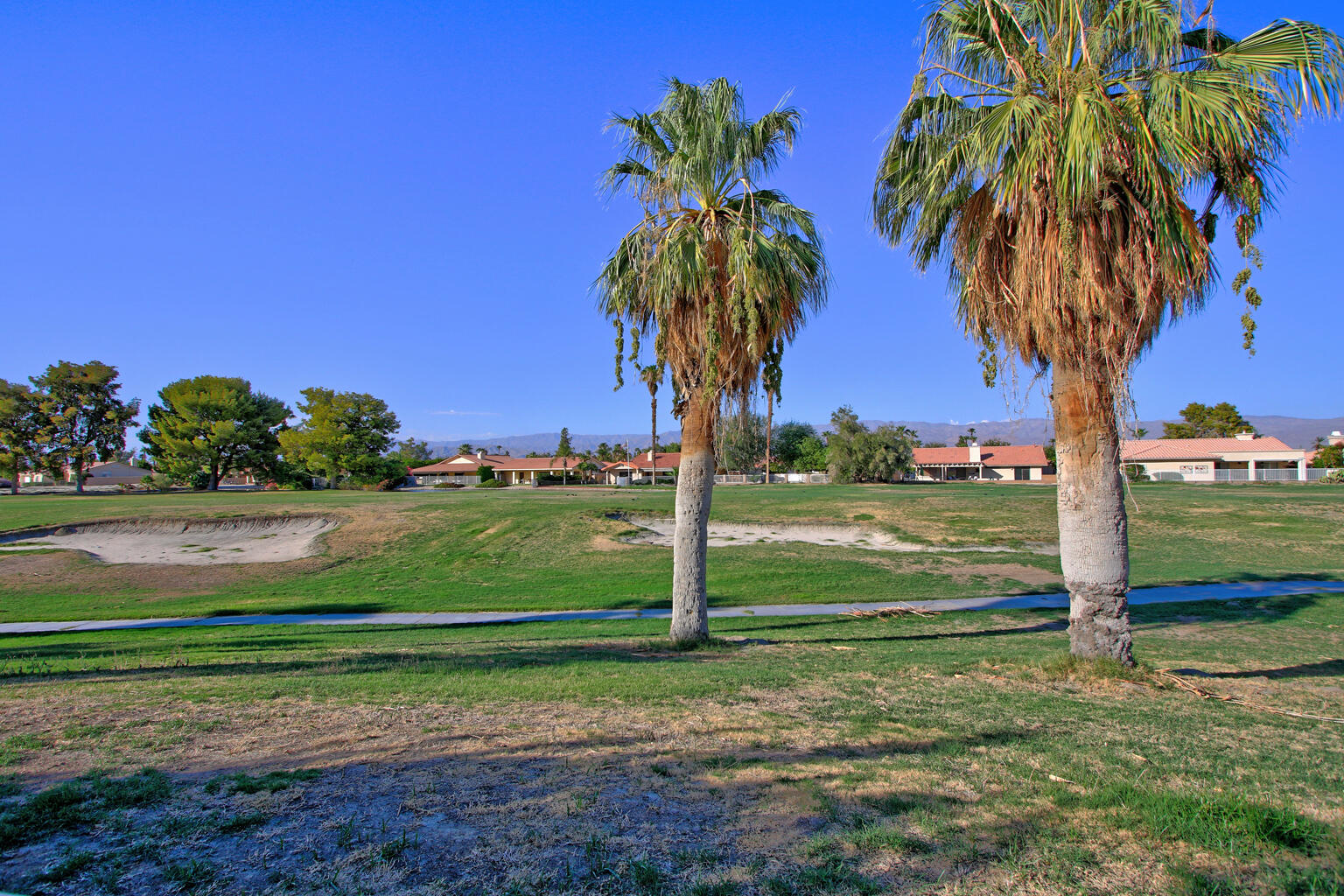 82652 Sky View Lane Indio, CA 92201 - Photo 42 of 44 a view of a garden with a tree