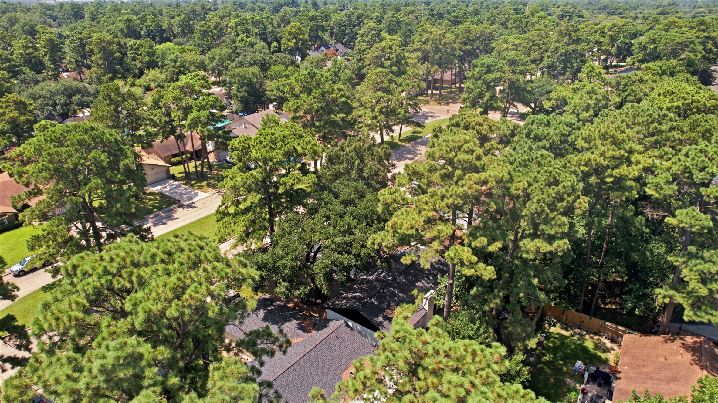 9518 Landry Boulevard Spring, TX 77379 - Photo 34 of 38 Nestled in a lush, tree-filled neighborhood, this property offers serene surroundings and abundant greenery, providing a peaceful retreat from the city bustle.