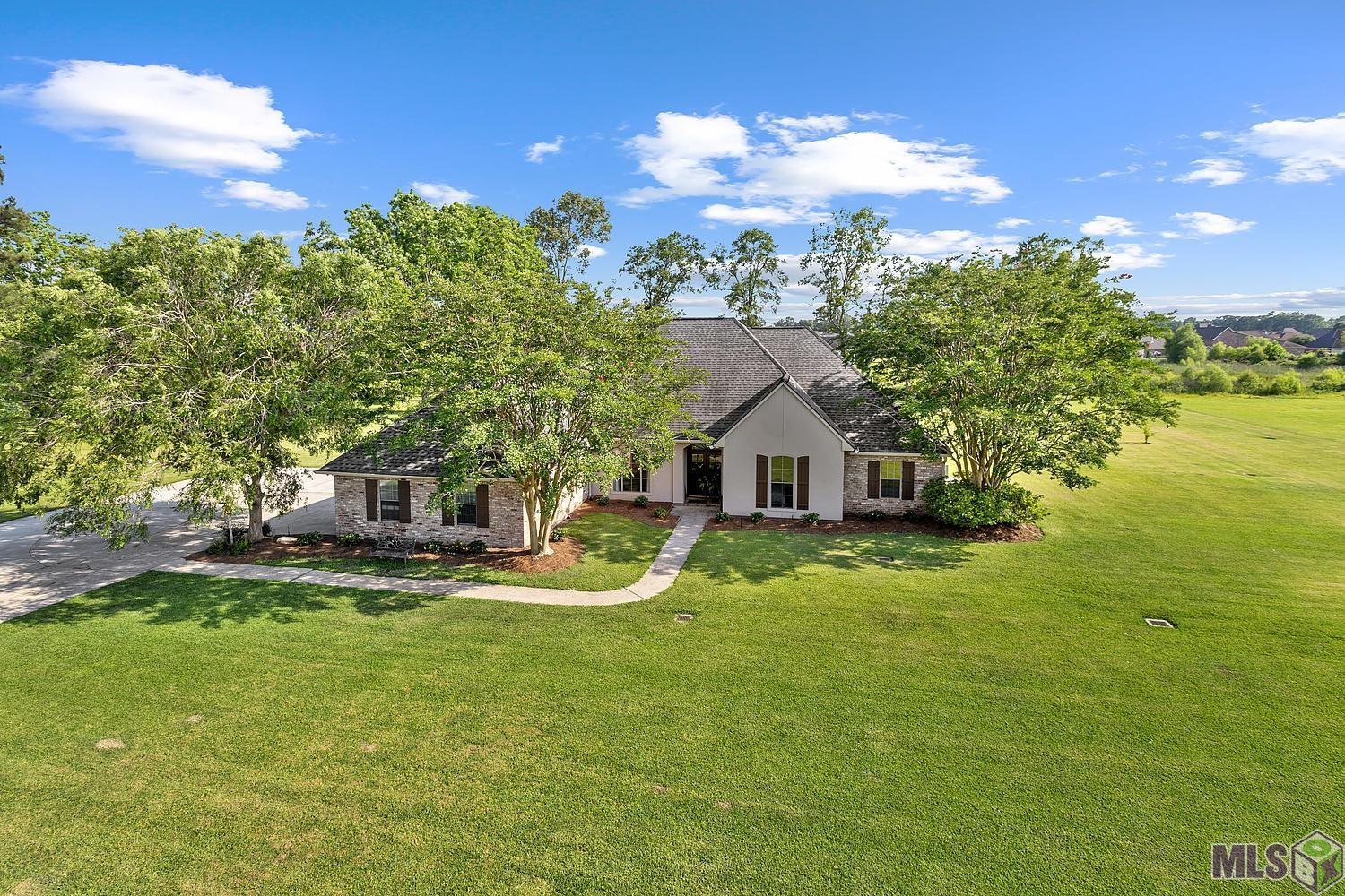 36321 C Braud Road Prairieville, LA 70769 - Photo 4 of 15