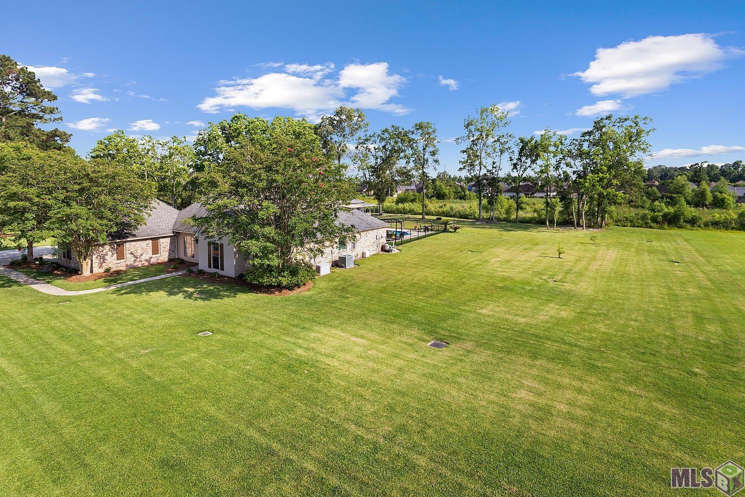 36321 C Braud Road Prairieville, LA 70769 - Photo 5 of 15