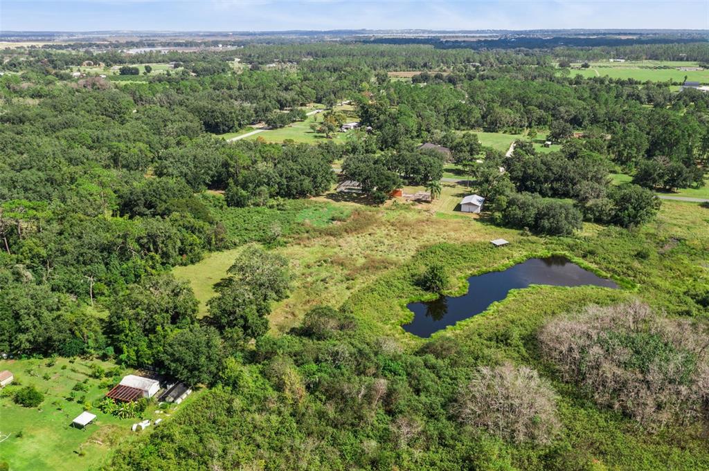 7411 Groveland Farms Road Groveland, FL 34736 - Photo 11 of 23