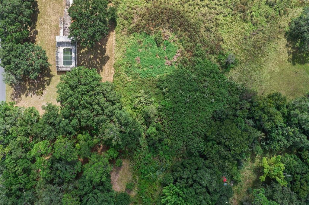 7411 Groveland Farms Road Groveland, FL 34736 - Photo 14 of 23