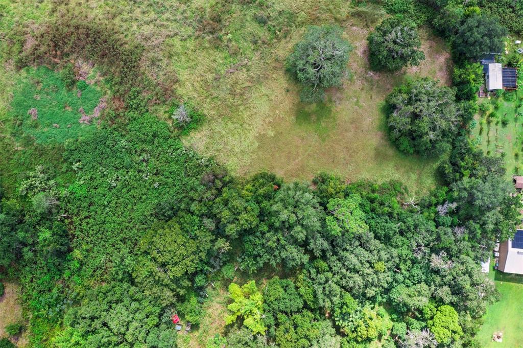 7411 Groveland Farms Road Groveland, FL 34736 - Photo 16 of 23