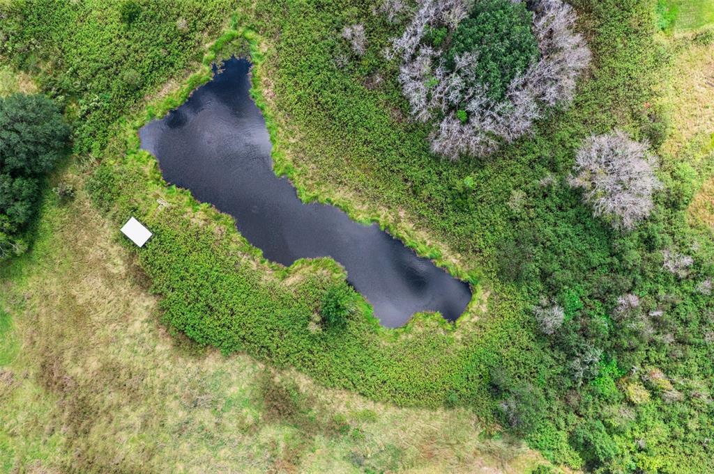 7411 Groveland Farms Road Groveland, FL 34736 - Photo 17 of 23