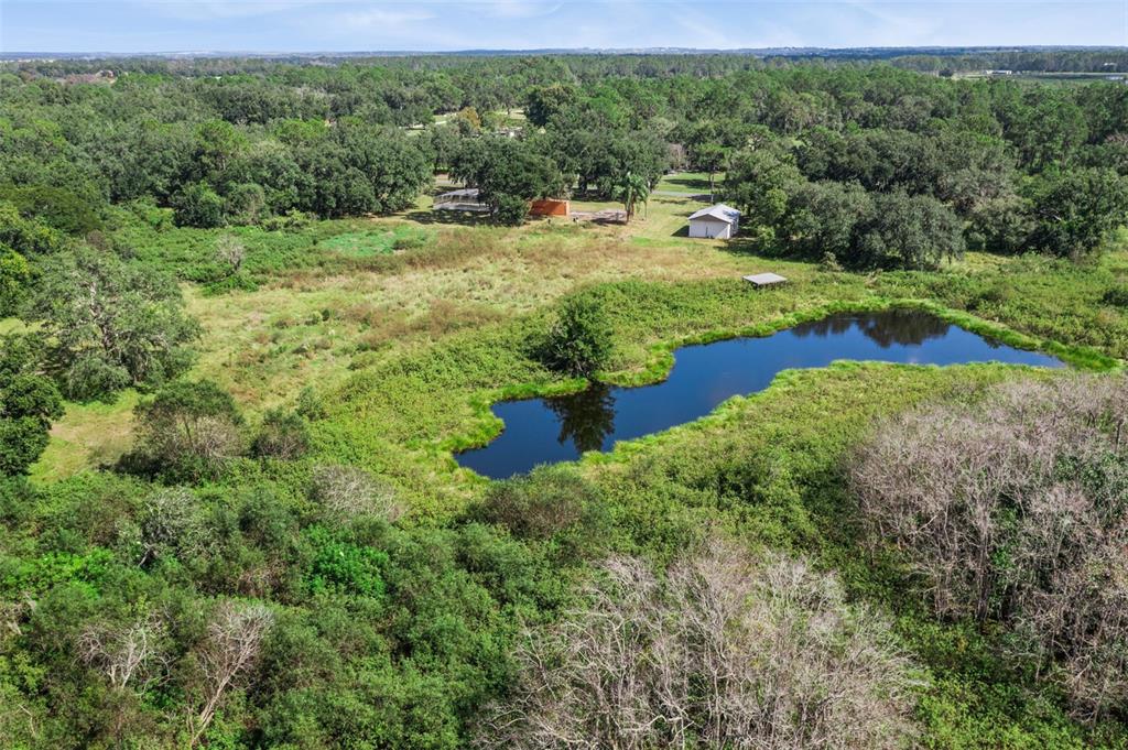 7411 Groveland Farms Road Groveland, FL 34736 - Photo 18 of 23