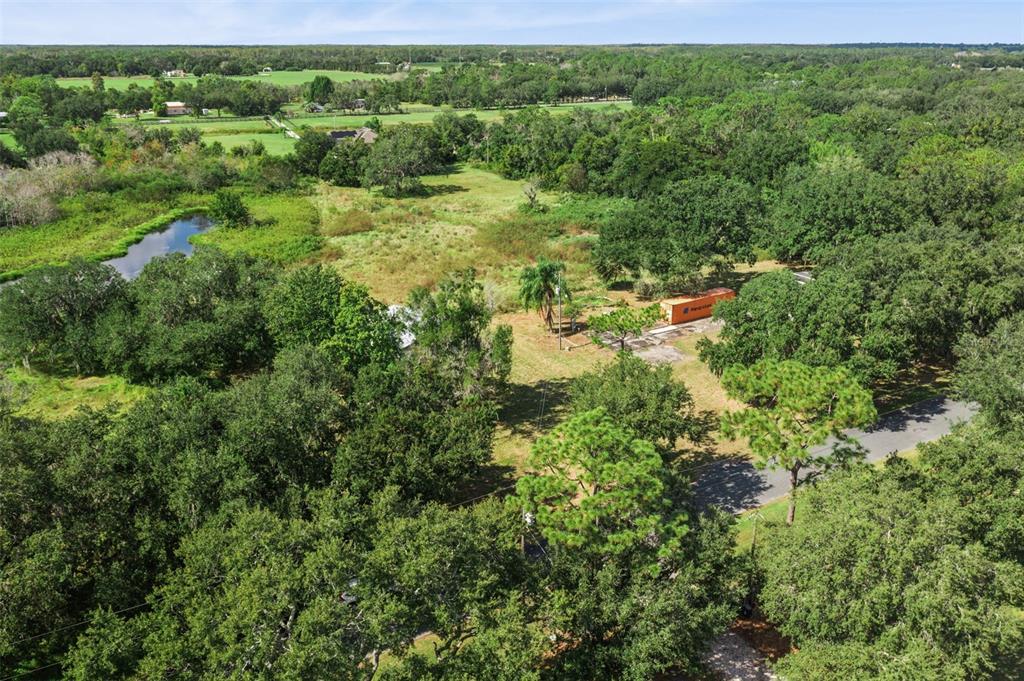 7411 Groveland Farms Road Groveland, FL 34736 - Photo 20 of 23