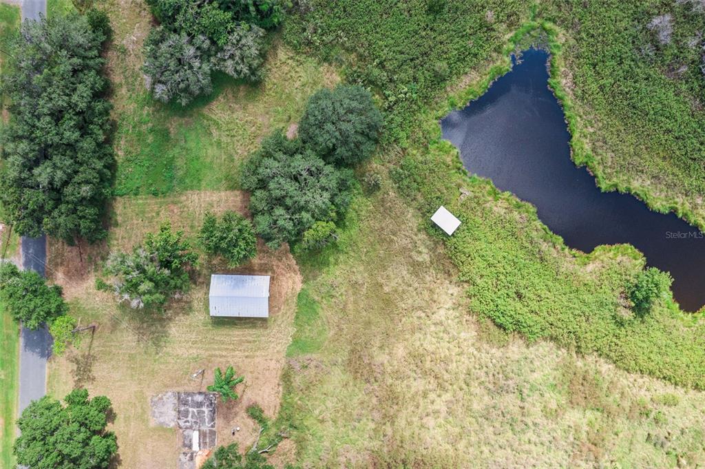 7411 Groveland Farms Road Groveland, FL 34736 - Photo 6 of 23