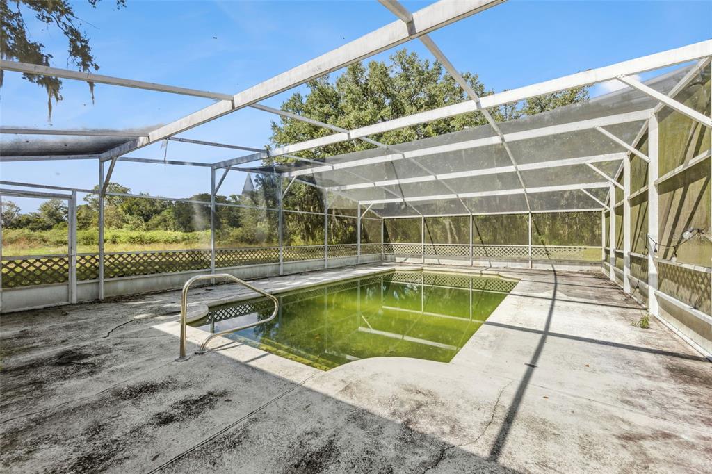 7411 Groveland Farms Road Groveland, FL 34736 - Photo 9 of 23