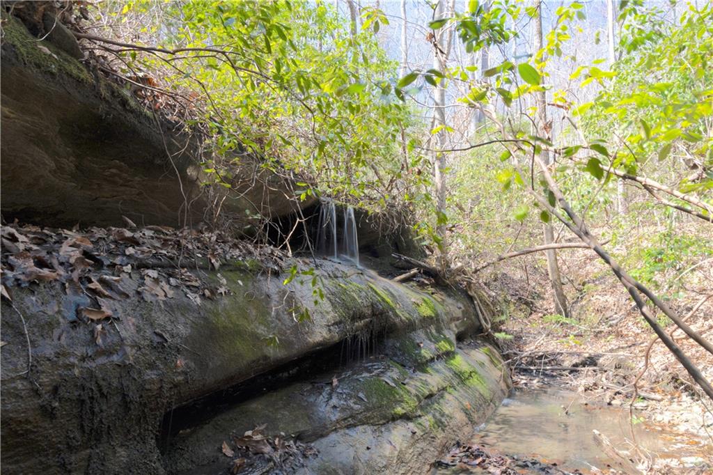 a view of backyard with green space