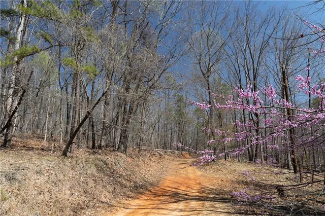 a view of a backyard of the house