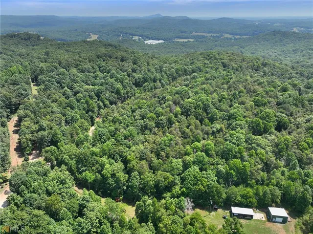 an aerial view of residential houses with outdoor space and trees