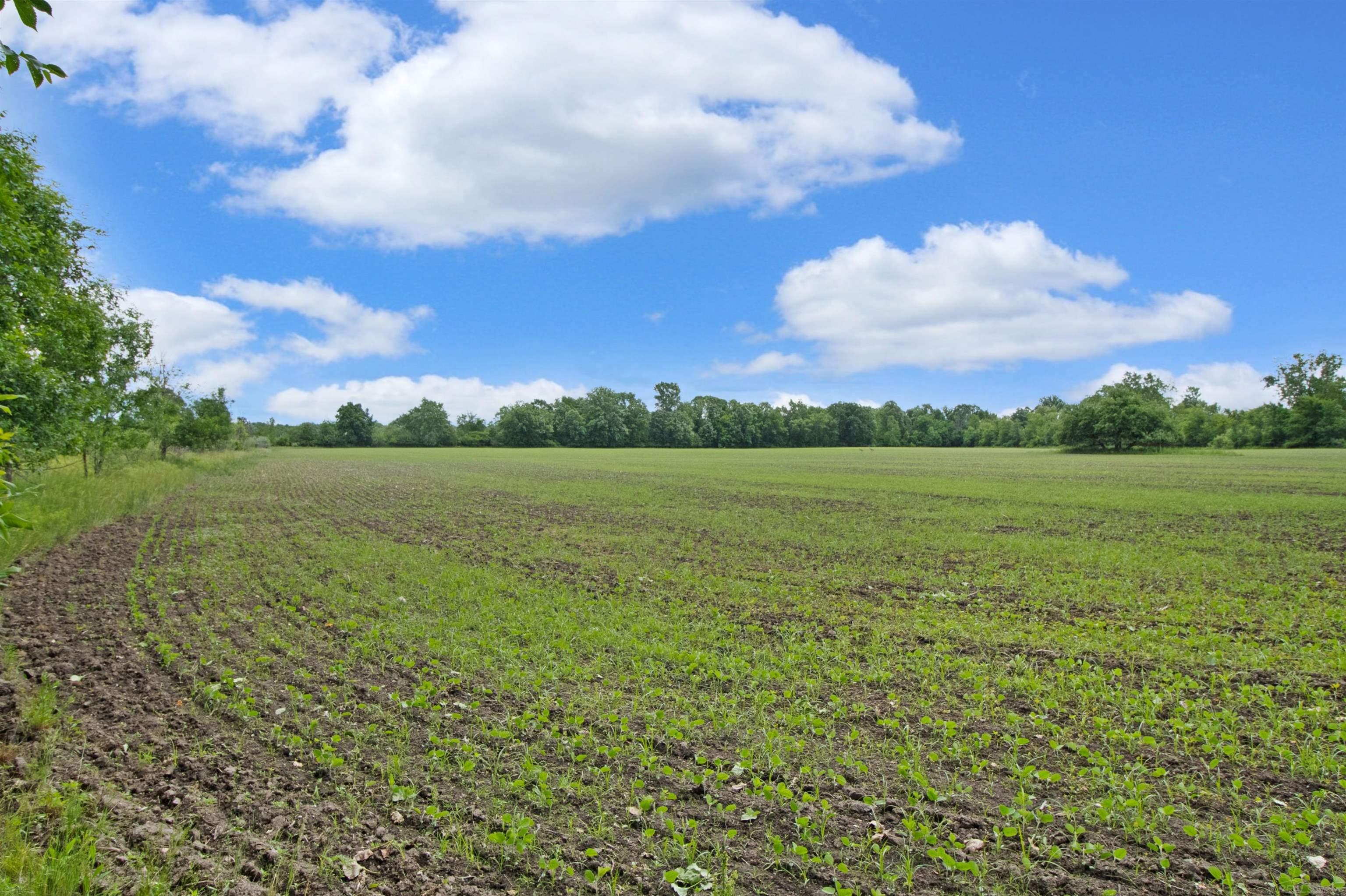 Quain Road Emmett, MI 48022 - Photo 4 of 8