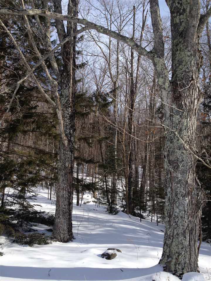 94 Fuller Road Granville, VT 05747 - Photo 36 of 36 Gallery Image 36