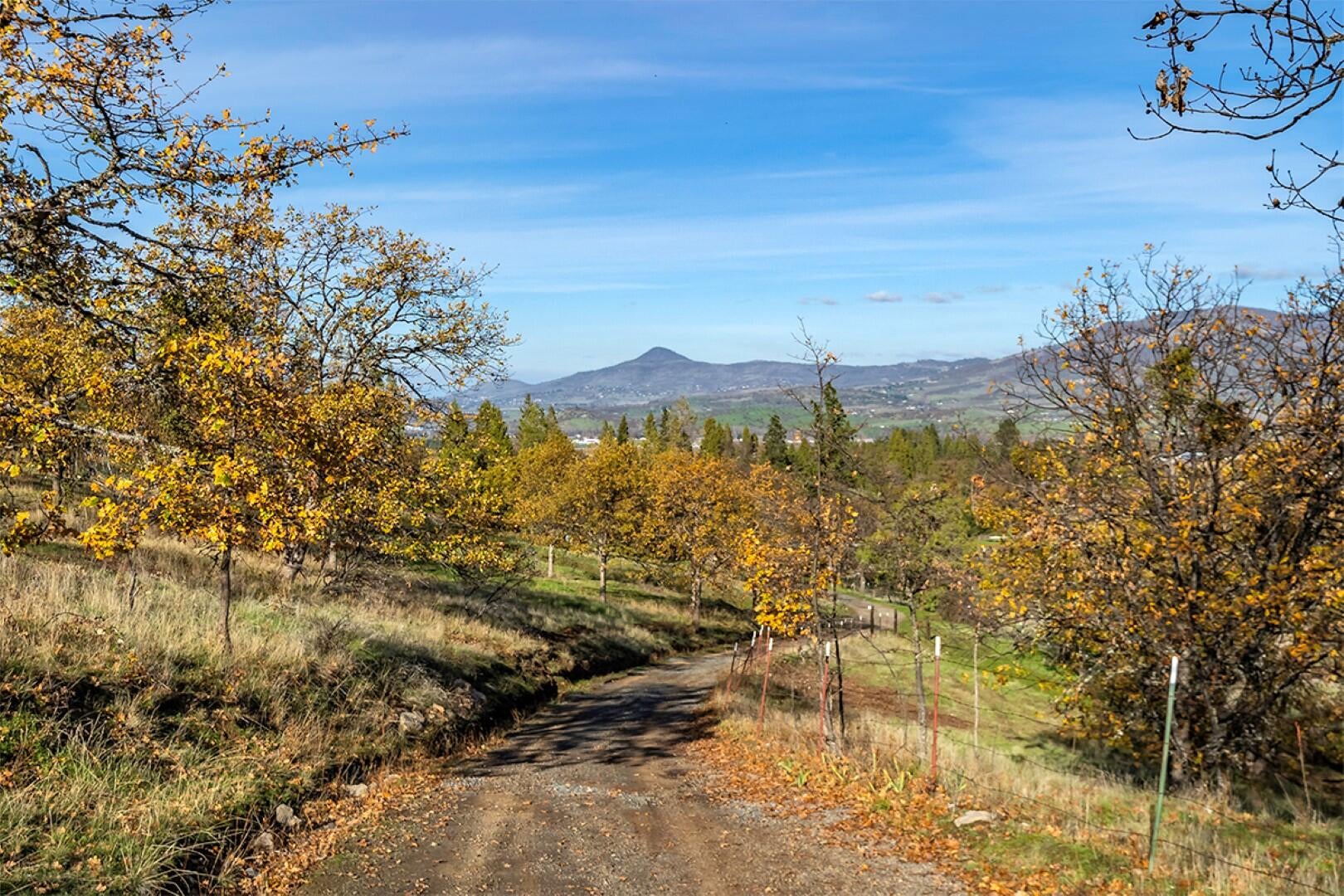 1057 Anderson Creek Road Talent, OR 97540 - Photo 42 of 50 DSC02776