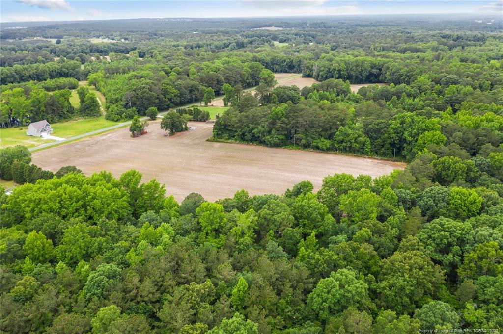 0 Darroch Road Bunnlevel, NC 28323 - Photo 5 of 17 Photo 5