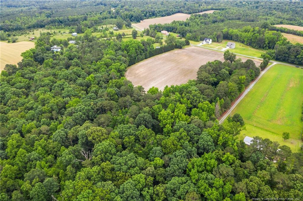 0 Darroch Road Bunnlevel, NC 28323 - Photo 8 of 17 Photo 8