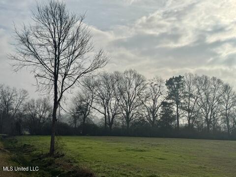 Spruce Street Walnut Grove, MS 39189 - Photo 10 of 11 6AC98216-1375-4C33-9363-1689EFAD8C1D_4_5