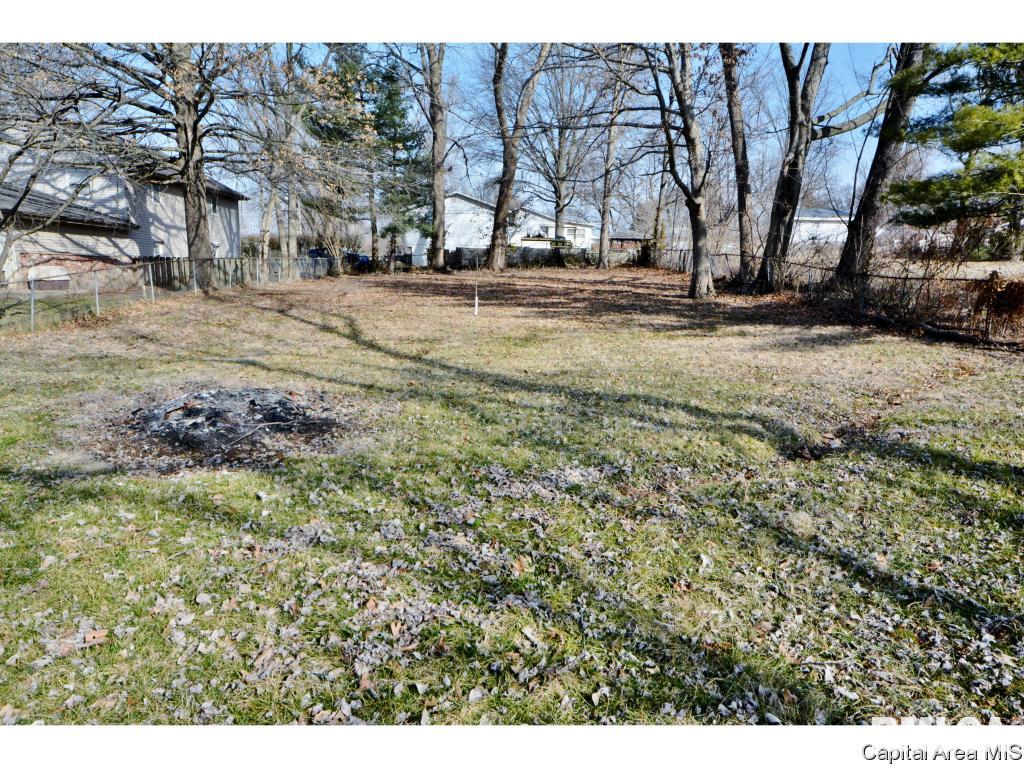 305 East Mill Street Rochester, IL 62563 - Photo 26 of 28